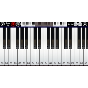 Piano 2020. Org Piano 2020.