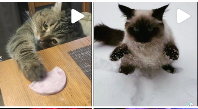 Как сделать продающую/трендов ую обложку для видео в соц.сетях для охватов?