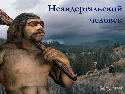 Почему современные ученые не признают неандертальцев предками людей?