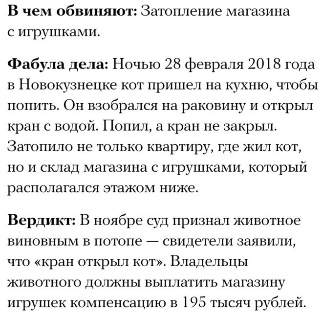 Если бы вашему домашнему питомцу было предъявлено обвинение, то какое?