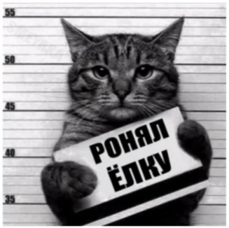 Если бы вашему домашнему питомцу было предъявлено обвинение, то какое?