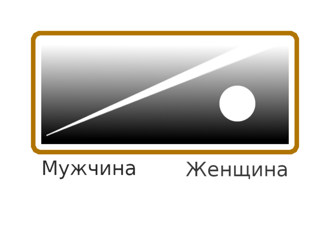 различия мужской и женской психики